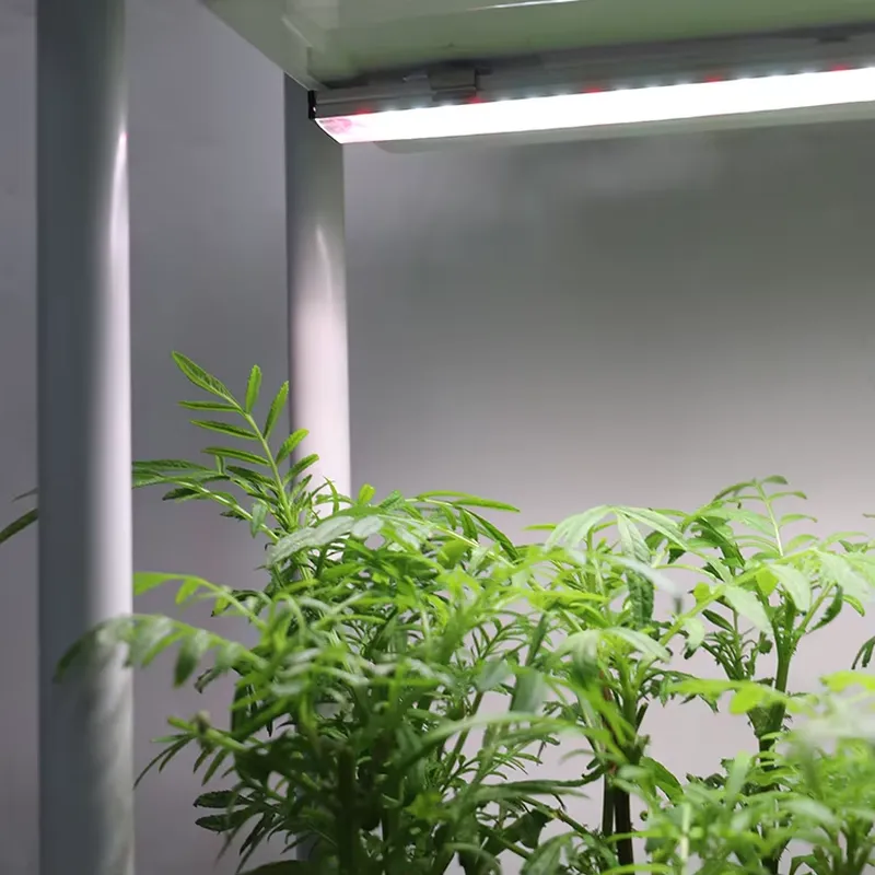 Indoor Herb Garden - 이동식 수직형 3단 자동 급수 스마트