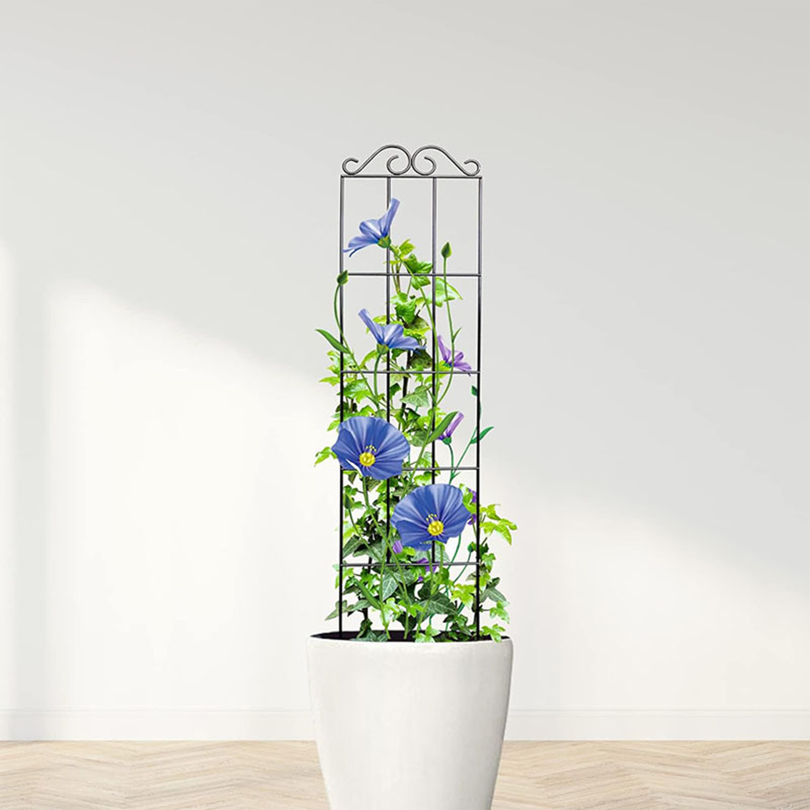 정원 격자 내구성 정원 격자 등반 식물 줄기 지원 스테 - Indoor Herb Garden 리뷰 및 가격