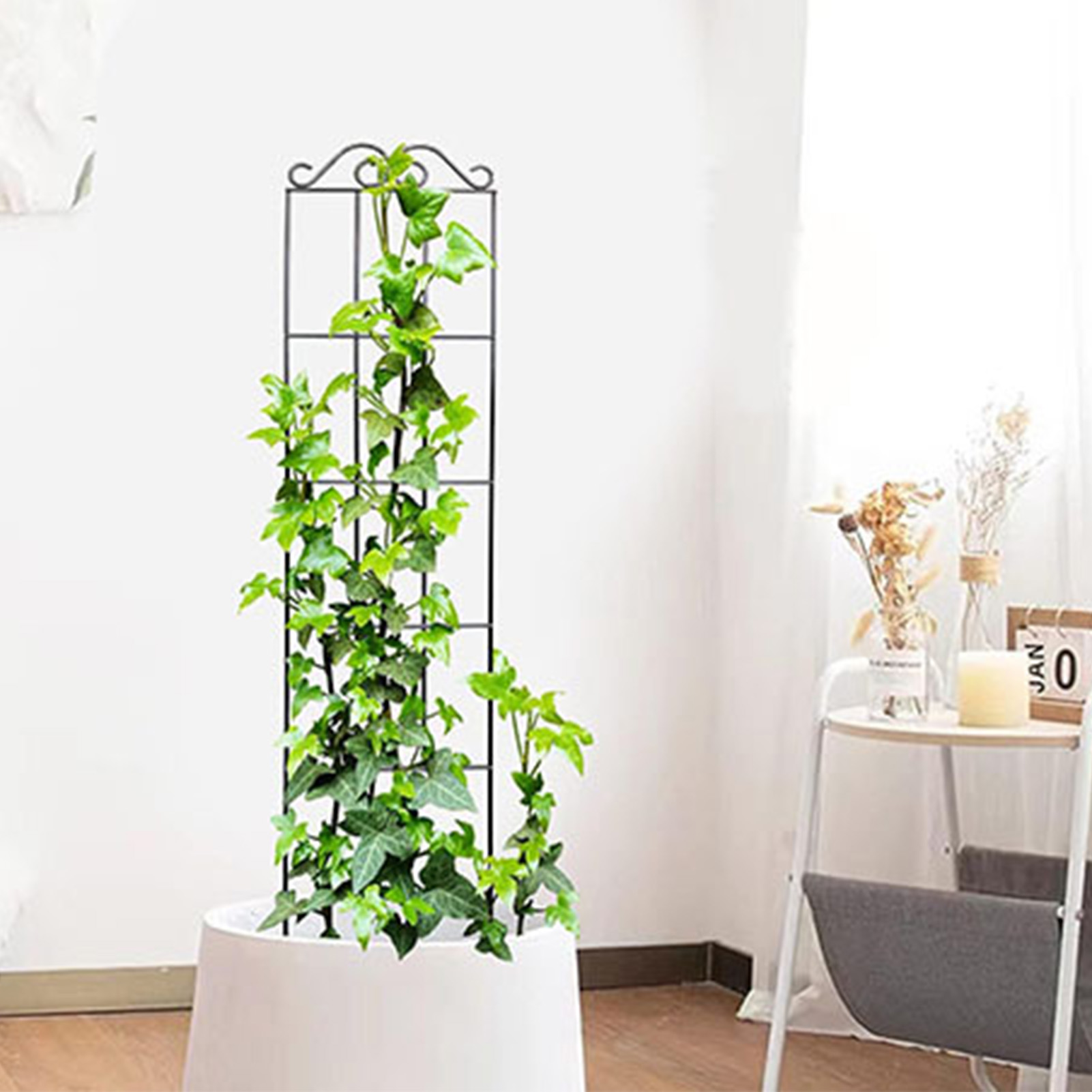 정원 격자 내구성 정원 격자 등반 식물 줄기 지원 스테 - Indoor Herb Garden 리뷰 및 가격