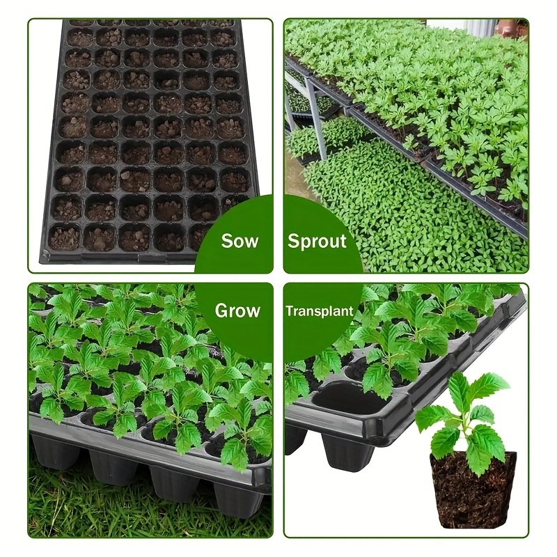 10-20 사이즈의 육묘 트레이, 온실에서의 발아 및  - Seed Starter Tray 리뷰 및 가격