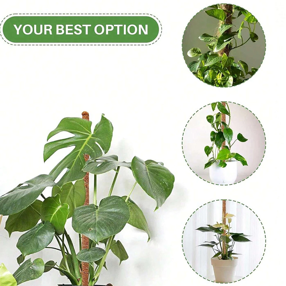 몬스테라 식물용 이끼 지지대, 실내 덩굴 식물 지지대, - Indoor Herb Garden 리뷰 및 가격