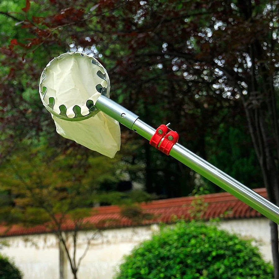 3-in-1 과일 수확 도구 세트 (베리 따기용, 텔레 - Grow Bag 리뷰 및 가격