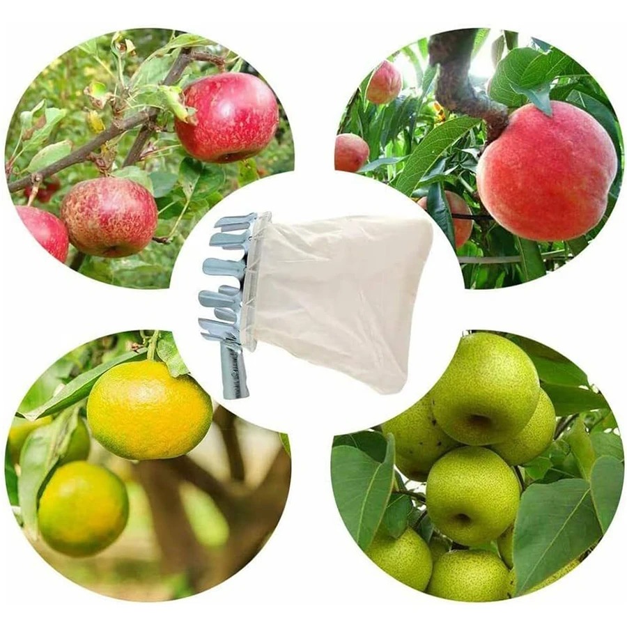 3-in-1 과일 수확 도구 세트 (베리 따기용, 텔레 - Grow Bag 리뷰 및 가격