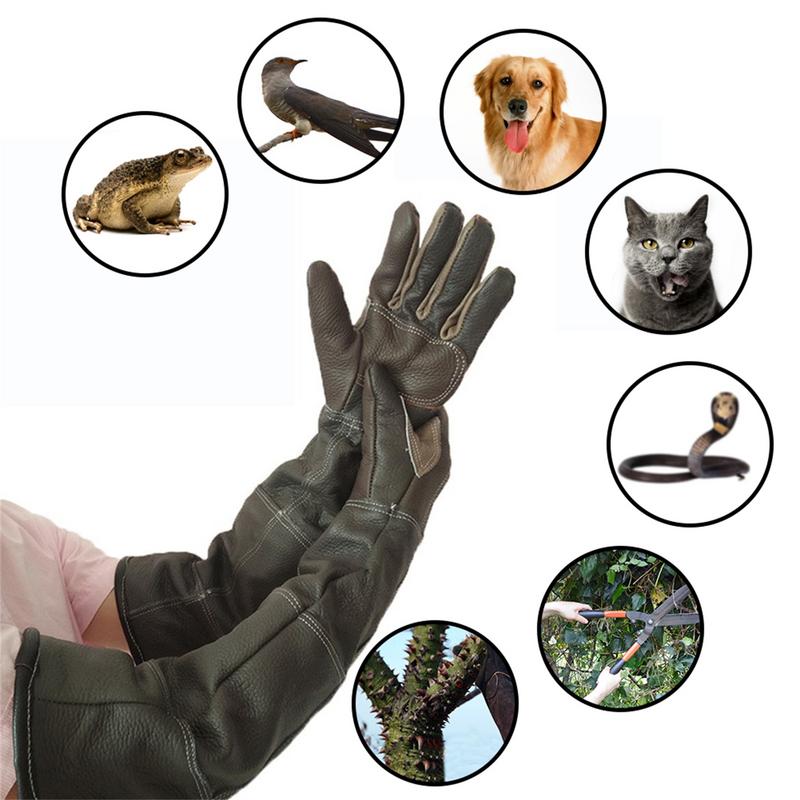 애완 동물 장갑 쇠가죽 채찍으로 치다 가죽 Anti-g - Garden Gloves 리뷰 및 가격