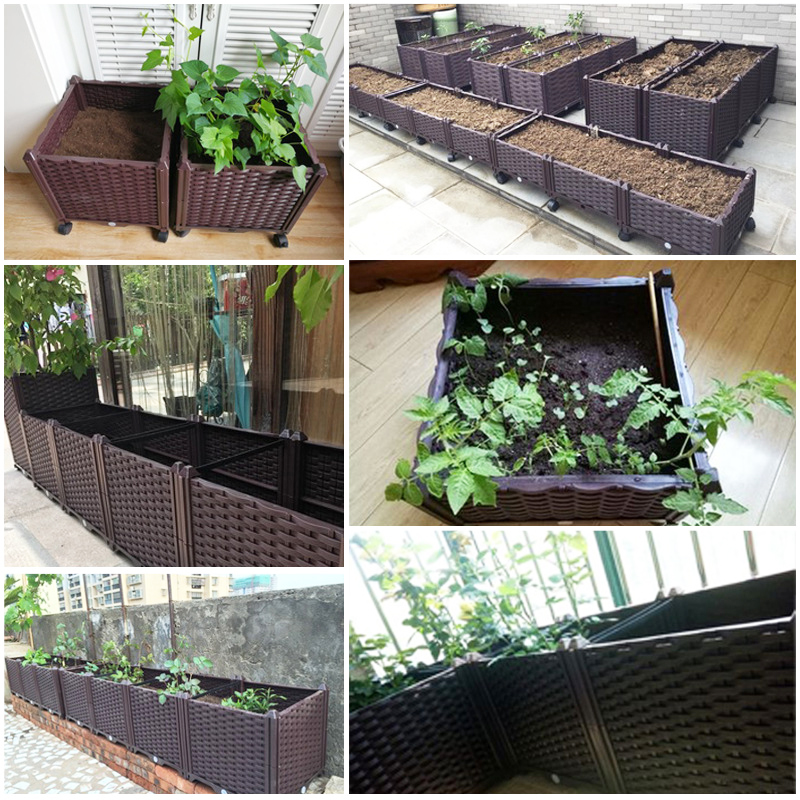 자동 급수 기능이 있는 높이 조절형 화분, 배수 구멍이 - Self Watering Planter 리뷰 및 가격