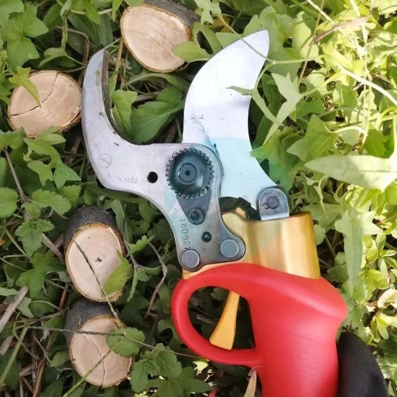 배터리로 작동하는 전정 가위, 수동 절단 도구, 포도밭 - Pruning Shears 리뷰 및 가격