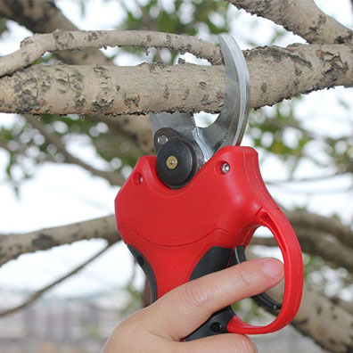 고품질 미끄럼 방지 손잡이 정원용 가위 오래 지속되는  - Pruning Shears 리뷰 및 가격