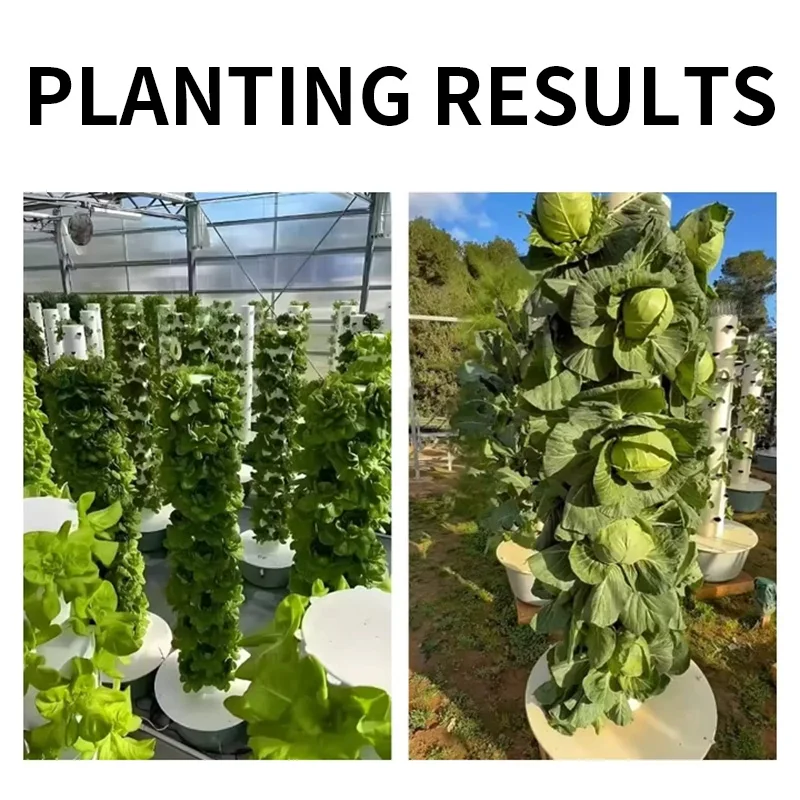 9단계 수경 재배 키트 시스템, 발코니용 재배 선반,  - Hydroponic Kit 리뷰 및 가격