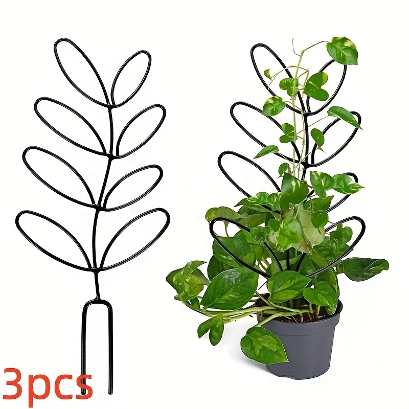 3개입 식물 지지대 클라이밍 랙 식물 모양/디자인/고정 - Indoor Herb Garden 리뷰 및 가격