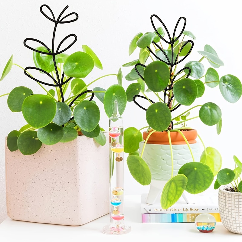 3개입 식물 지지대 클라이밍 랙 식물 모양/디자인/고정 - Indoor Herb Garden 리뷰 및 가격