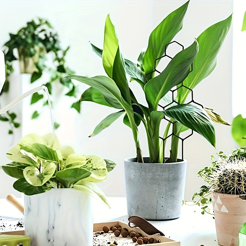 3개입 식물 지지대 클라이밍 랙 식물 모양/디자인/고정 - Indoor Herb Garden 리뷰 및 가격