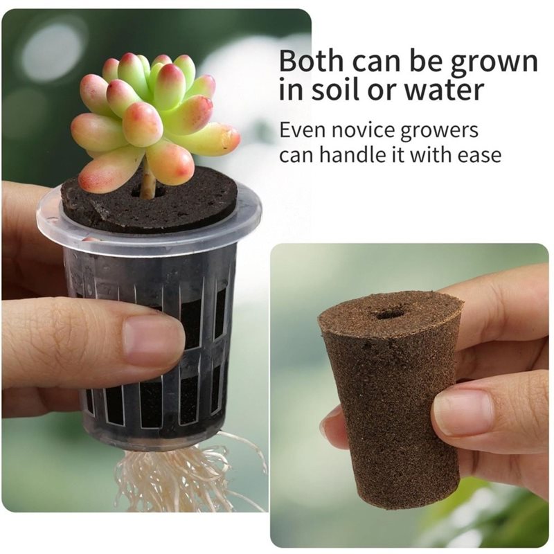 [ABFI!] 수경 재배용 씨앗 발아 컵, 테이블 위  - Hydroponic Kit 리뷰 및 가격