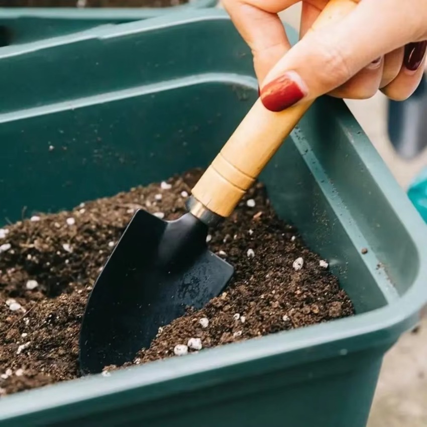 3개/세트 미니 정원 가꾸기 도구 세트, 휴대용 갈퀴, - Trowel Garden Tools 리뷰 및 가격