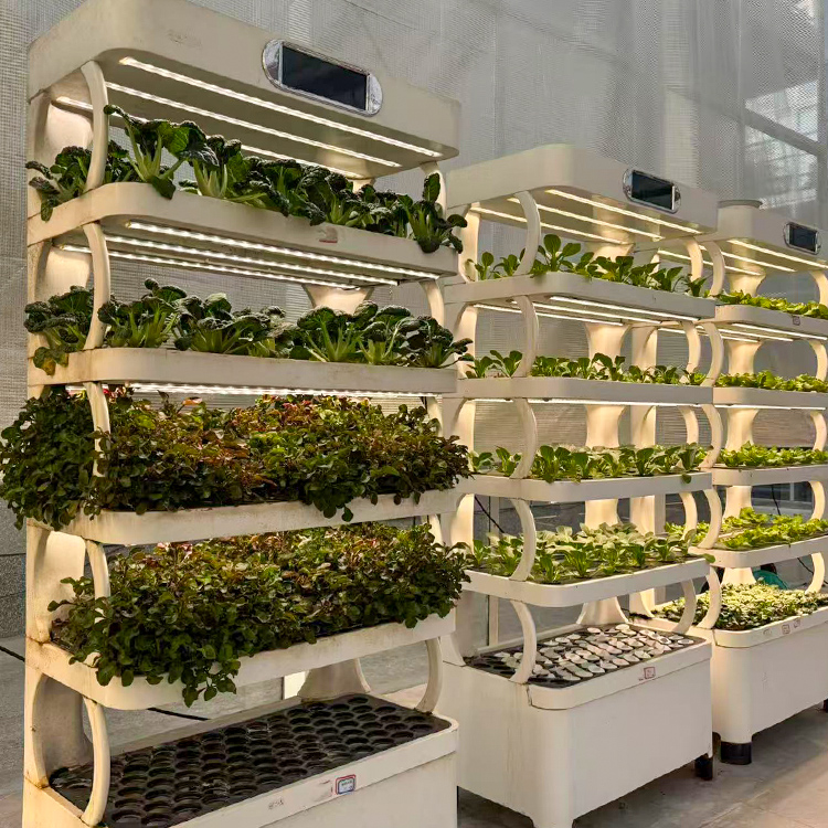 스마트 실내 정원용 화분 - LED 재배등이 장착된 스 - Grow Light Led 리뷰 및 가격
