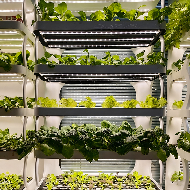 스마트 실내 정원용 화분 - LED 재배등이 장착된 스 - Grow Light Led 리뷰 및 가격
